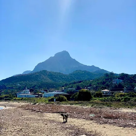 The Kyrenia North Cyprus